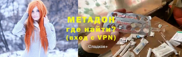 прущие грибы Абаза