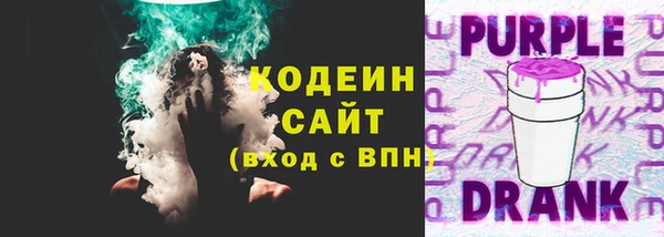 прущие грибы Абаза