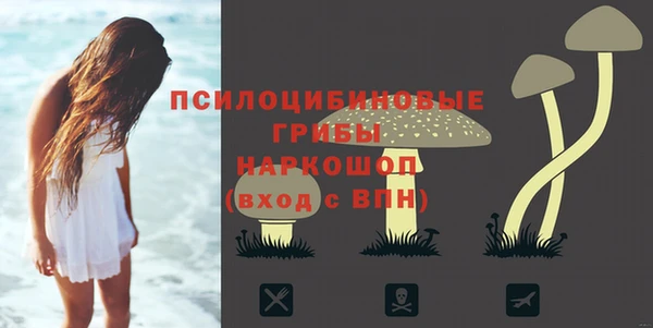 кокс Алзамай