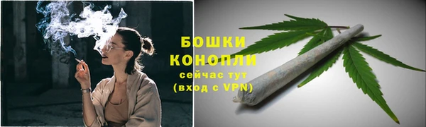 прущие грибы Абаза