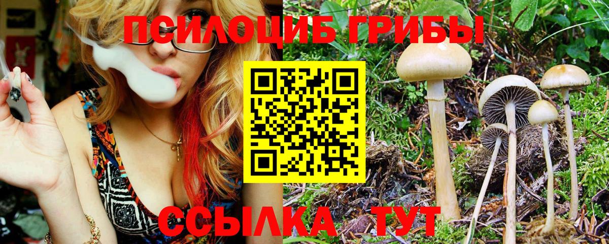 Галлюциногенные грибы прущие грибы  Вход с VPN  Котовск 